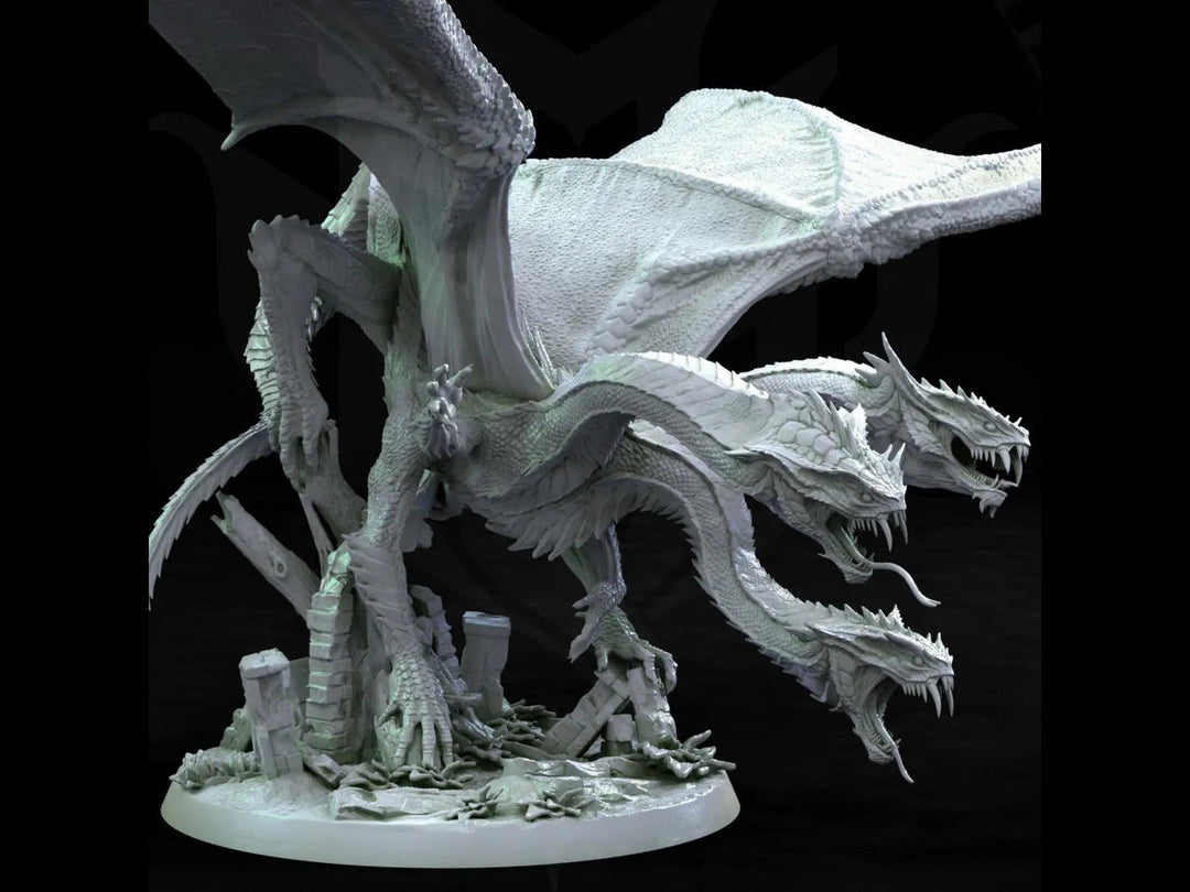 Draco Hydra - (Pre 2022) by Mini Monster Mayhem | Printing Services by Uproar Design & Print