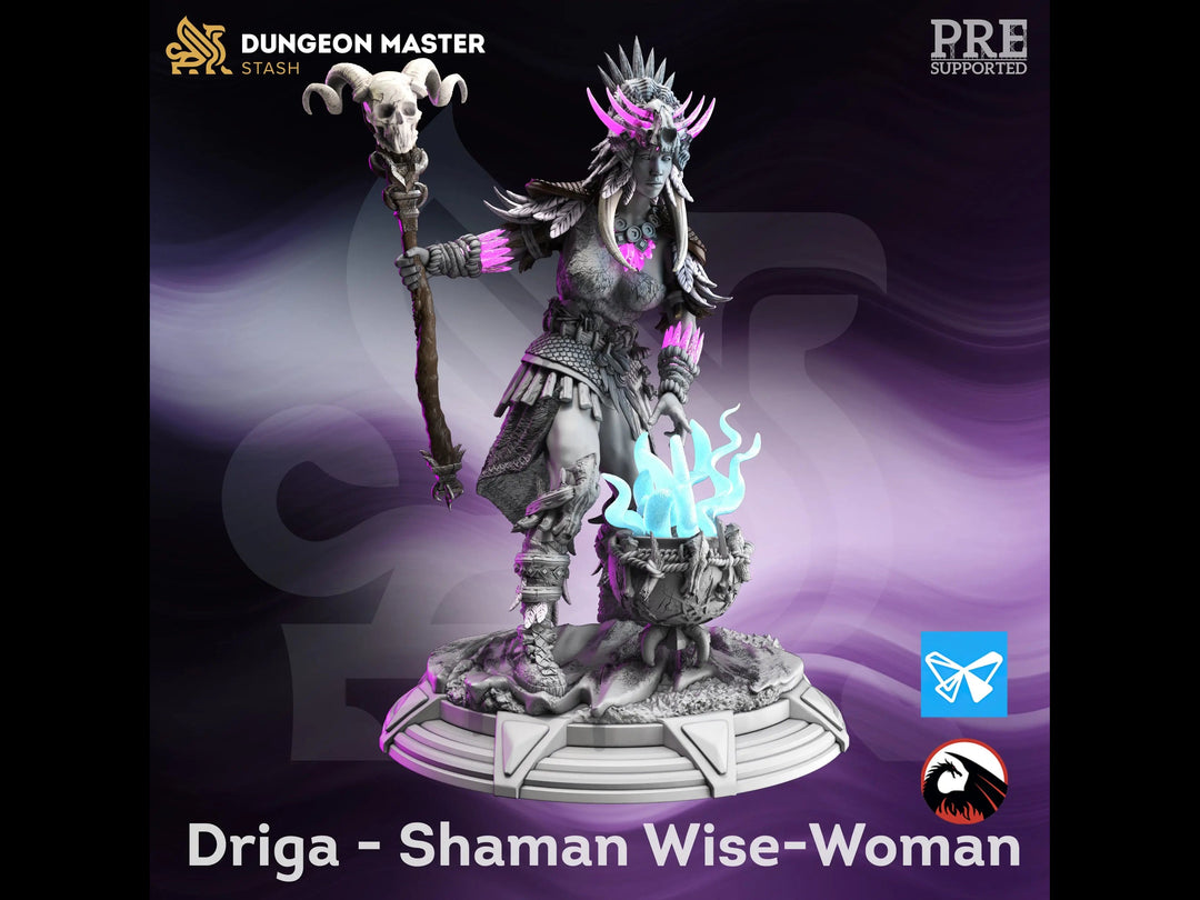 Driga - Shaman Wise-Woman - Brawn & Brains by Dungeon Master Stash | Printing Services by Uproar Design & Print