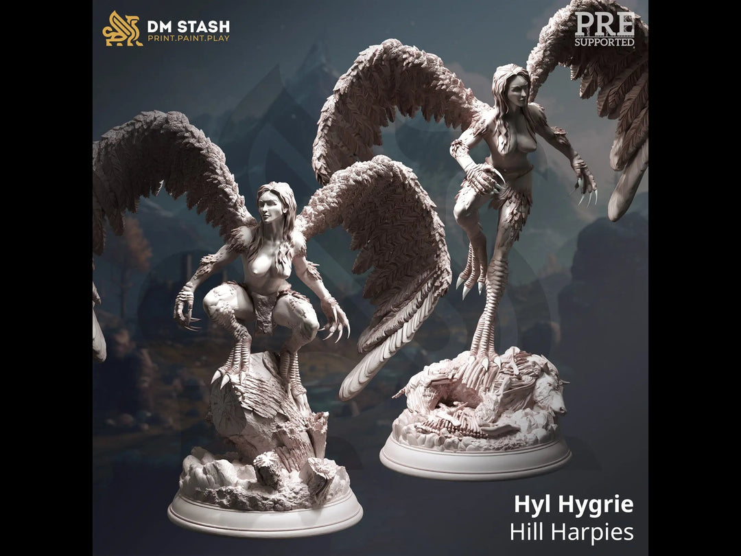 Hyl Hygrie - Hill Harpies Dungeon Master Stash