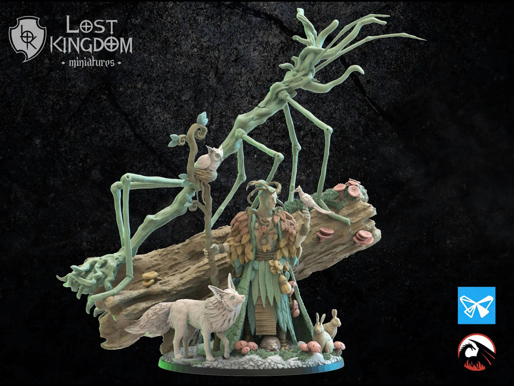 Masaki, Ancient Druid Lost Kingdom