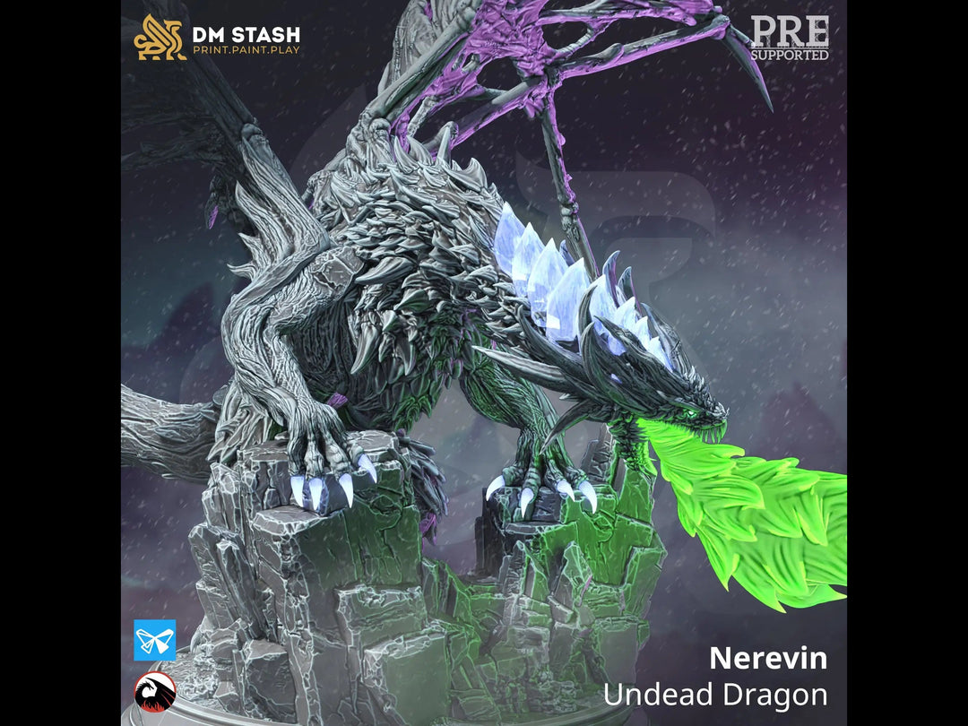 Nerevin - Undead Dragon Dungeon Master Stash