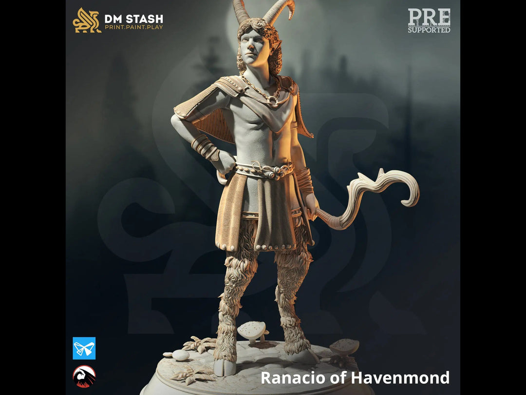 Ranacio of Havenmond Dungeon Master Stash