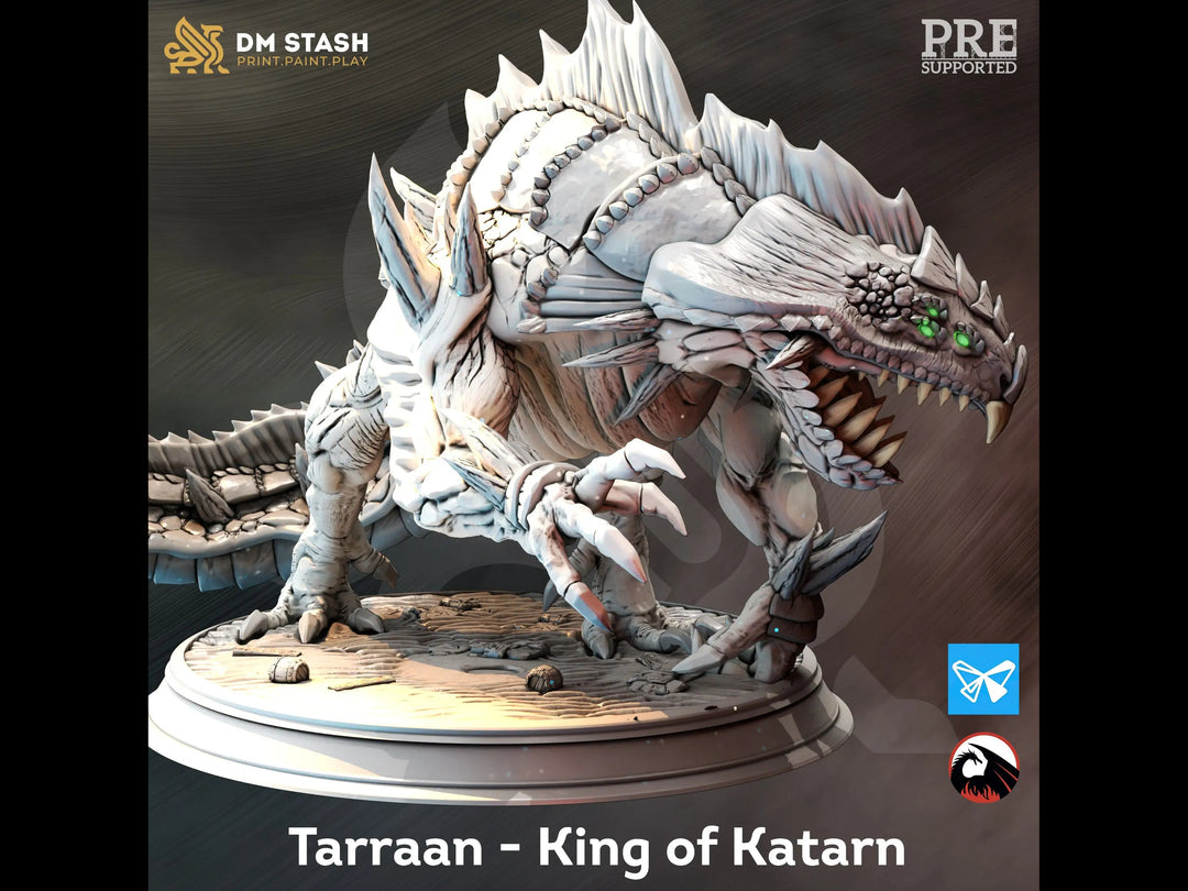 Tarraan - King of Katarn Dungeon Master Stash