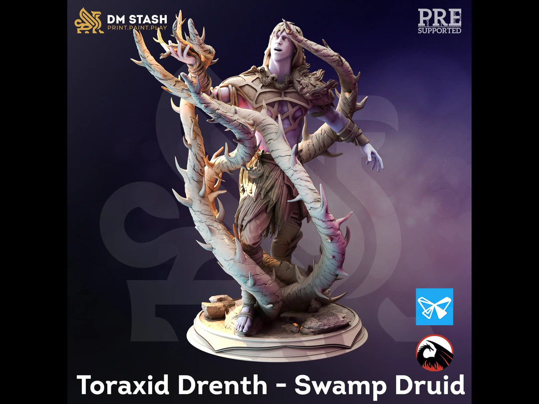 Toraxid Drenth - Swamp Druid Dungeon Master Stash