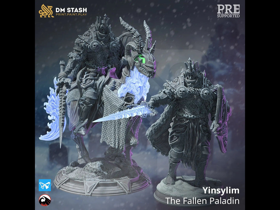 Yinsylim - The Fallen Paladin Dungeon Master Stash