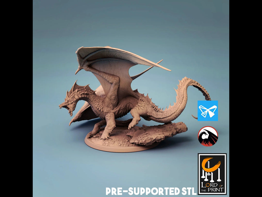 Young Brine Dragon by Lord of the Print | Printing Services by Uproar Design & Print