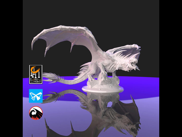 Young Crystal Dragon by Lord of the Print | Printing Services by Uproar Design & Print